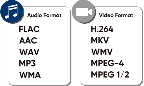 Audio Format Video Format