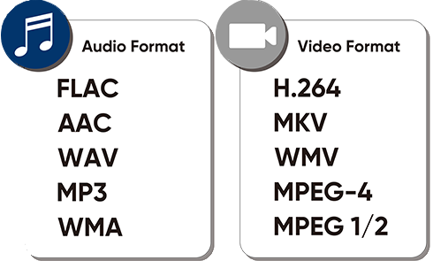 Audio Format Video Format